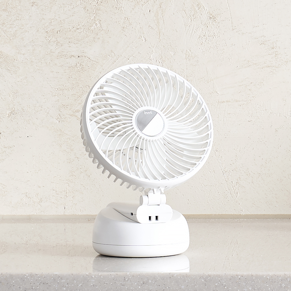 [프롬비] 빅팬 폴더블 (세트) / 스노우화이트